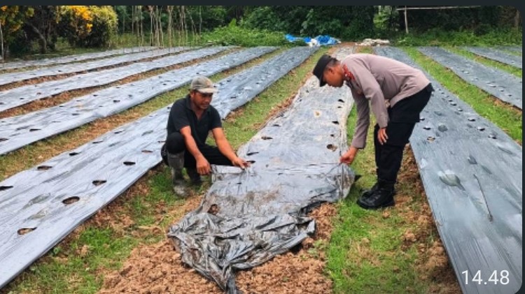 Tingkatkan Ketahanan Pangan, Polsek Pantee Bidari Ajak Warga Manfaatkan Lahan Tidur