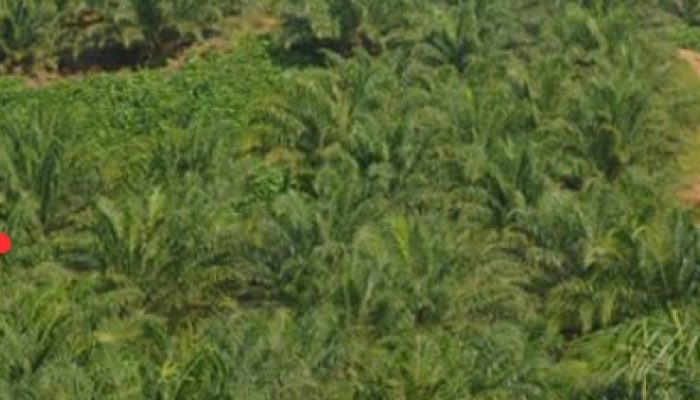 Parah. PSR Wilayah Aceh Timur Terindikasi Jadi Ladang Korupsi, Pihak APH Aceh Timur Jangan Tinggal Diam.