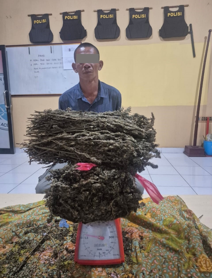 Satresnarkoba Polres Aceh Timur Berhasil Gagalkan Upaya Peredaran Narkoba Jenis Ganja*