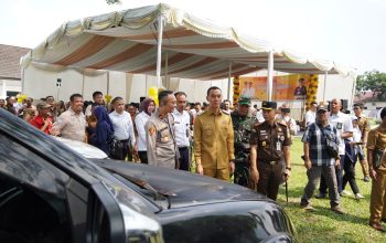Lelang Randis Pemkab OKI Tahap I Tembus Rp 990 juta   #BPKAD Optimis Capai Target