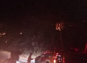 Kebakaran Hebat Ludeskan 6 Hektar Kebun Warga di Arul Cincin, Kecamatan PRG