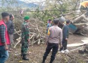 Personel Polsek Bebesen Hadir dan Sigap Bantu Bersihkan Material Pohon Tumbang Akibat Angin Kencang