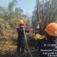 Brimob dan Dinas Kehutanan Padamkan Api di Lahan Gambut Rawan Karhutla