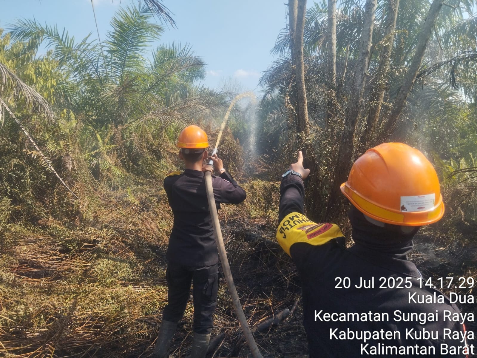 Brimob dan Dinas Kehutanan Padamkan Api di Lahan Gambut Rawan Karhutla