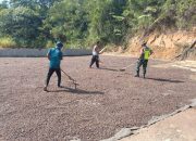 Pendampingan Pasca Panen, Babinsa Bantu Warga Saat Menjemur Kopi