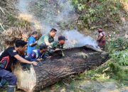 Anggota Koramil 04/PRG Sigap Evakuasi Pohon Tumbang Di Jalan Tajuk Enang-Enang