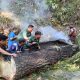 Anggota Koramil 04/PRG Sigap Evakuasi Pohon Tumbang Di Jalan Tajuk Enang-Enang