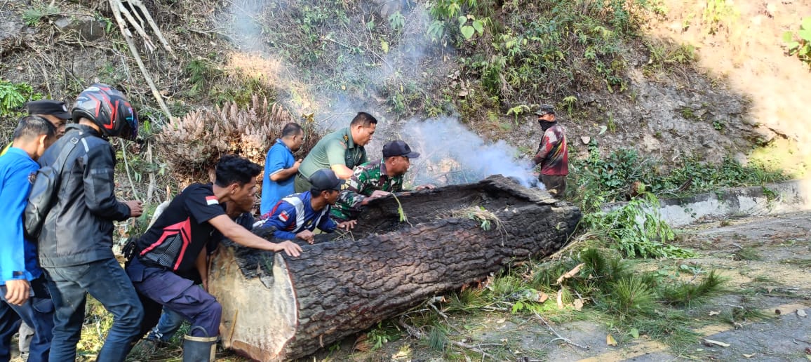 Anggota Koramil 04/PRG Sigap Evakuasi Pohon Tumbang Di Jalan Tajuk Enang-Enang