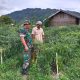 Babinsa Bantu Warga Cek Tanaman Cabai di Desa Bukit Sari