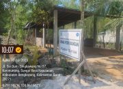Ratusan Pohon Mangrove di Bengkayang Dibabat untuk Parkir Ilegal, Pemda Diminta Bertindak Tegas