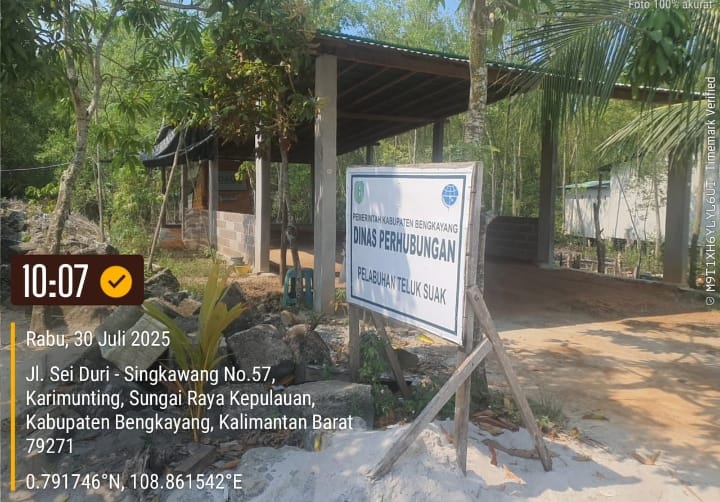 Ratusan Pohon Mangrove di Bengkayang Dibabat untuk Parkir Ilegal, Pemda Diminta Bertindak Tegas