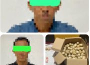 Curi 445 Telur Penyu di Kawasan Konservasi Paloh, Dua Pria Ditangkap Polisi