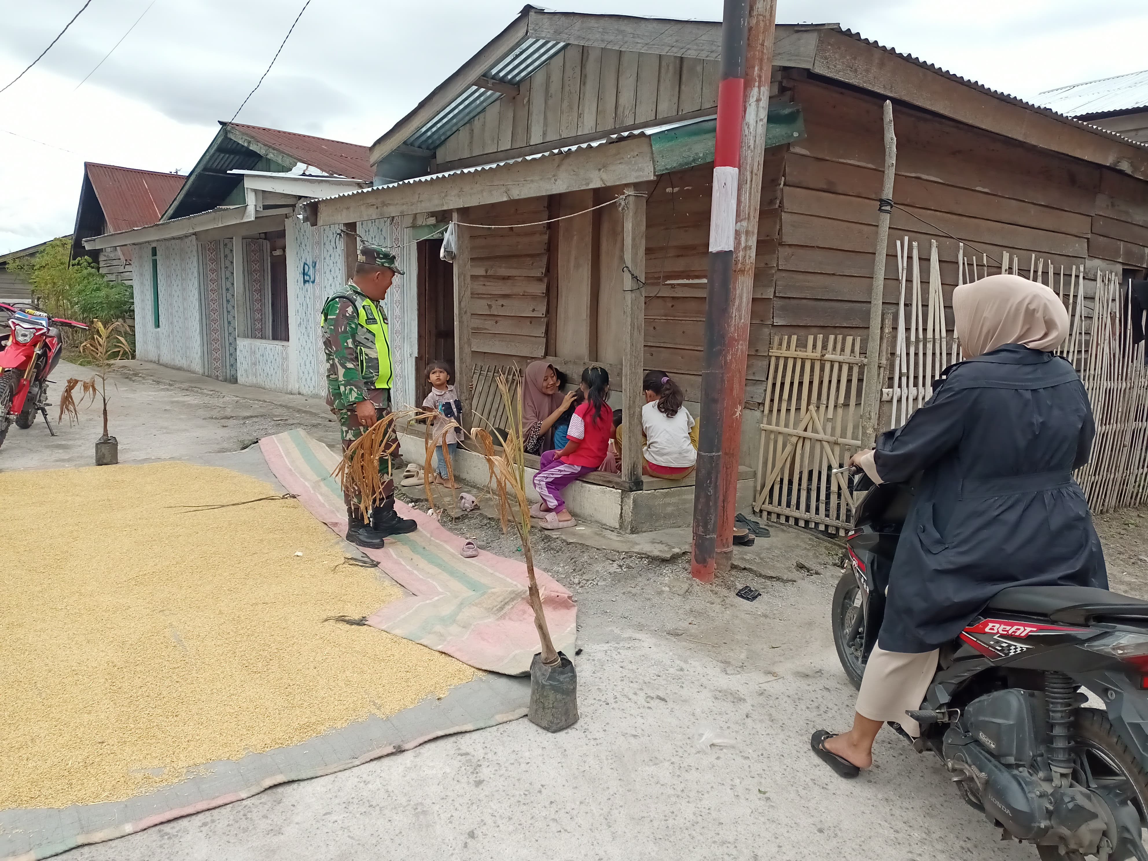 Hasilkan Gabah Berkualitas, Babinsa Dampingi Petani Saat Menjemur Padi