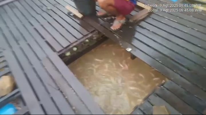 Diduga Dibekingi Oknum, Tambang Emas Ilegal Menggerogoti Sungai Sekadau