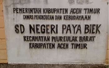 Periksa Dan Audit..!!! Tindak Tegas Oknum Kepsek SD Paya Buek Diduga Kuat Lakukan Korupsi Dana Bos.