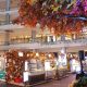 Autumn Foliage di PIK Avenue: Saat Warna-Warni Musim Gugur Hadir di Jakarta