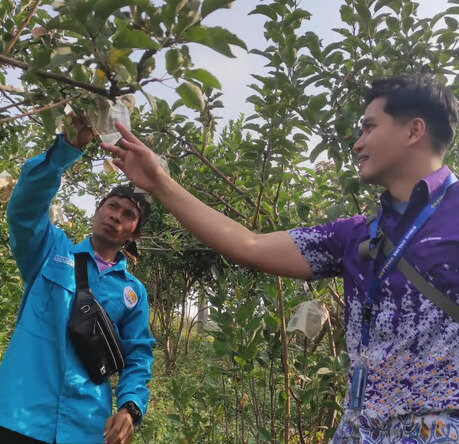 BINUS @Malang Kembangkan Inovasi Teknologi Atasi Penyakit dan Hama pada Apel Manalagi
