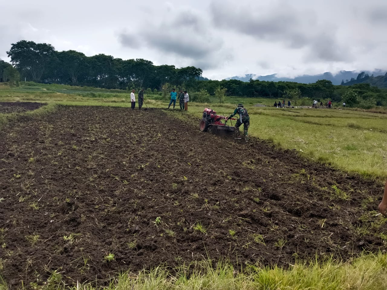 Dorong Perekonomian Warga, Satgas TMMD Ke 126, Manfaatkan Waktu Libur Bantu Petani