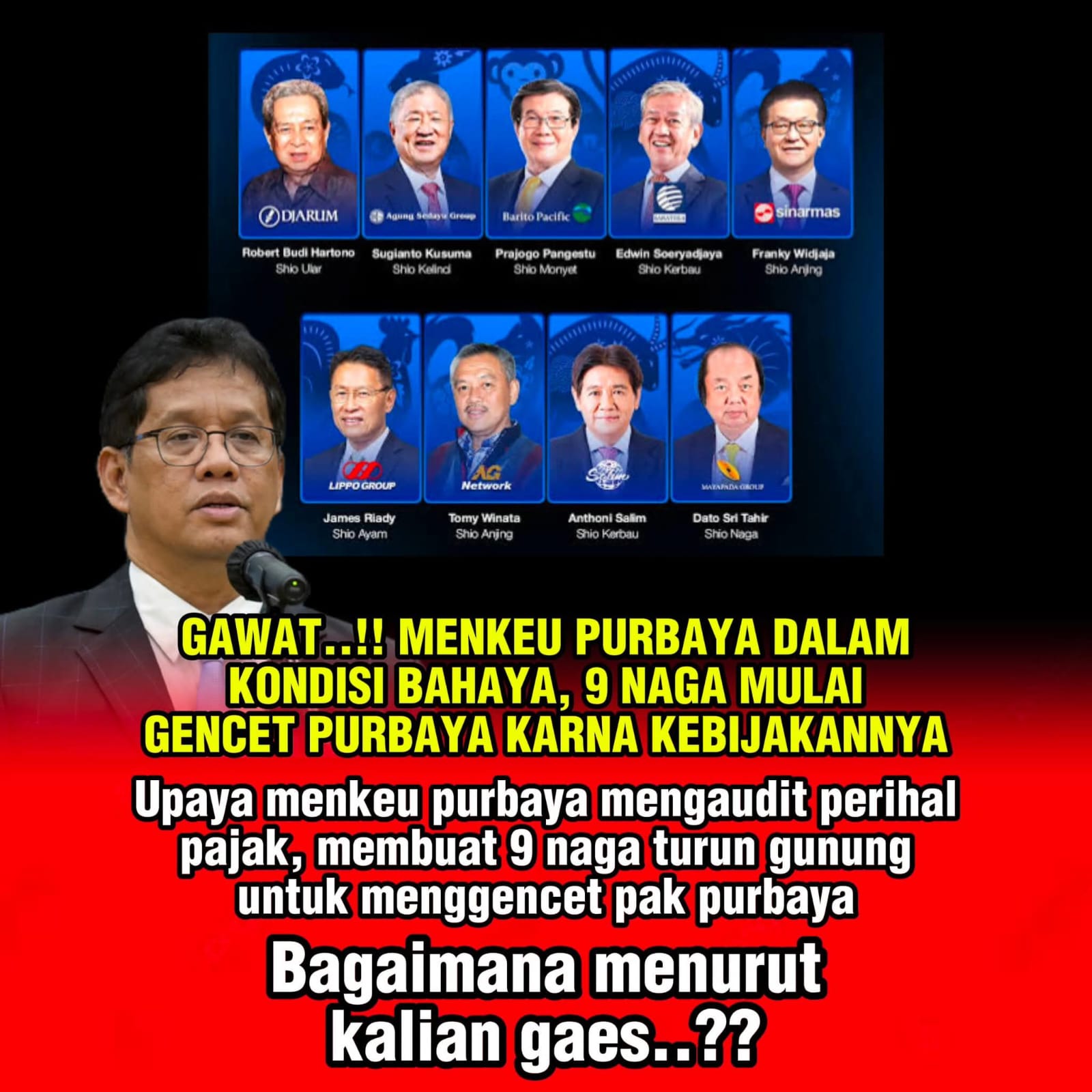 Geger di Pemerintahan! Upaya Menkeu Purbaya Audit Pajak Buat 9 Naga Turun Gunung!