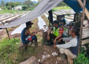 Sukseskan Ketahanan Pangan Di Wilayah, Babinsa Anjangsana Ke Lahan Pertanian Milik Warga