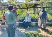 Wujudkan Ketahanan Pangan, Babinsa Himbau Masyarakat Agar Menanam Tanaman Produktif