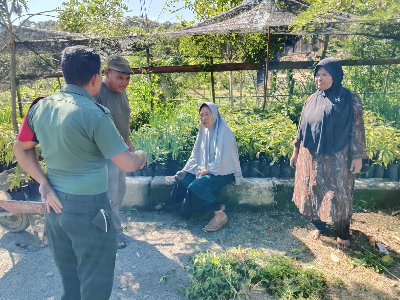 Wujudkan Ketahanan Pangan, Babinsa Himbau Masyarakat Agar Menanam Tanaman Produktif