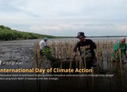 International Day of Climate Action: Saatnya Bumi Butuh Tindakan Nyata, Tanam Pohon Jadi Solusi Konkret