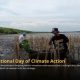 International Day of Climate Action: Saatnya Bumi Butuh Tindakan Nyata, Tanam Pohon Jadi Solusi Konkret