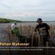 Abrasi Ancam Makassar, LindungiHutan Ajak Publik Berdonasi Pohon untuk Rehabilitasi Pesisir Untia