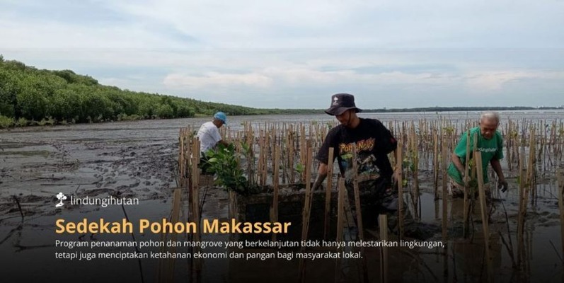 Abrasi Ancam Makassar, LindungiHutan Ajak Publik Berdonasi Pohon untuk Rehabilitasi Pesisir Untia