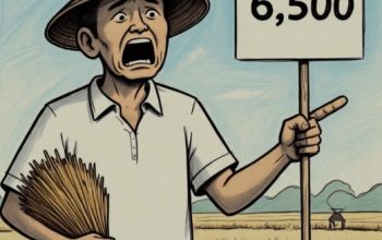 Harga Padi di Bawah HPP, Pemerintah dan Aparat Aceh Timur Terindikasi Tutup Mata.