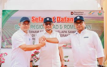 Holding Perkebunan Nusantara Dukung Keberlanjutan, PTPN IV Regional III Remajakan 949,6 Hektare Sawit Renta Holding Perkebunan Nusantara Dukung Keberlanjutan, PTPN IV Regional III Remajakan 949,6 Hektare Sawit Renta