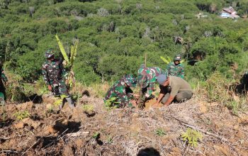 Satgas TMMD Reguler ke-126 Kodim 0106/Aceh Tengah Tanam Pohon Demi Menjaga Pelestarian Alam