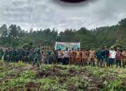Satgas TMMD ke-126 Kodim 0106/Aceh Tengah Gelar Penanaman Pohon Bersama Unsur For,Kopimcam dan Masyarakat