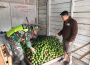 Babinsa Berikan Motivasi Peningkatan Usaha, Untuk Wujudkan Ketahanan Pangan Di Wilayah Binaan