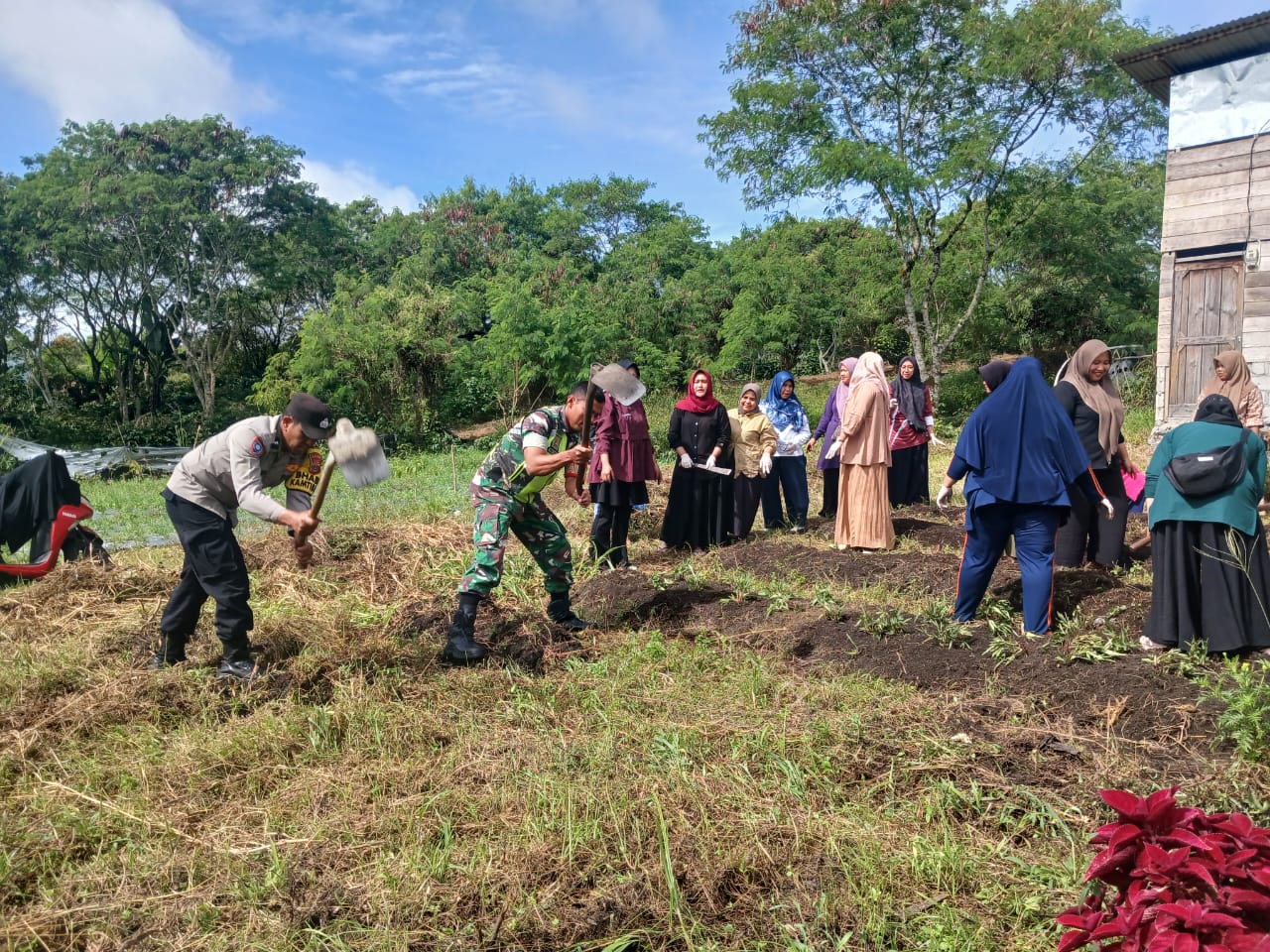 Babinsa Koramil 06/Bukit Turun Tangan Bantu Pemanfaatan Lahan Kosong Wujudkan Ketahanan Pangan