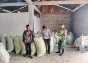 Menjaga Ketahanan Pangan Di Wilayah Binaan, Babinsa Pastikan Penyerapan Hasil Panen Berjalan Lancar