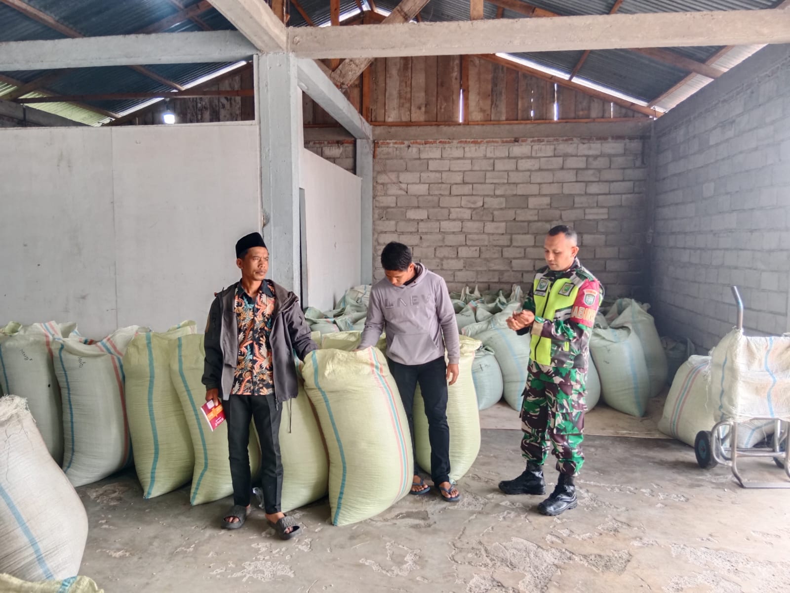 Menjaga Ketahanan Pangan Di Wilayah Binaan, Babinsa Pastikan Penyerapan Hasil Panen Berjalan Lancar