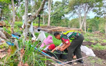 Dukung Ketahanan Pangan, Babinsa Koramil 03/TG Sambangi Petani Cabai Di Wilayah Binaan Dukung Ketahanan Pangan, Babinsa Koramil 03/TG Sambangi Petani Cabai Di Wilayah Binaan