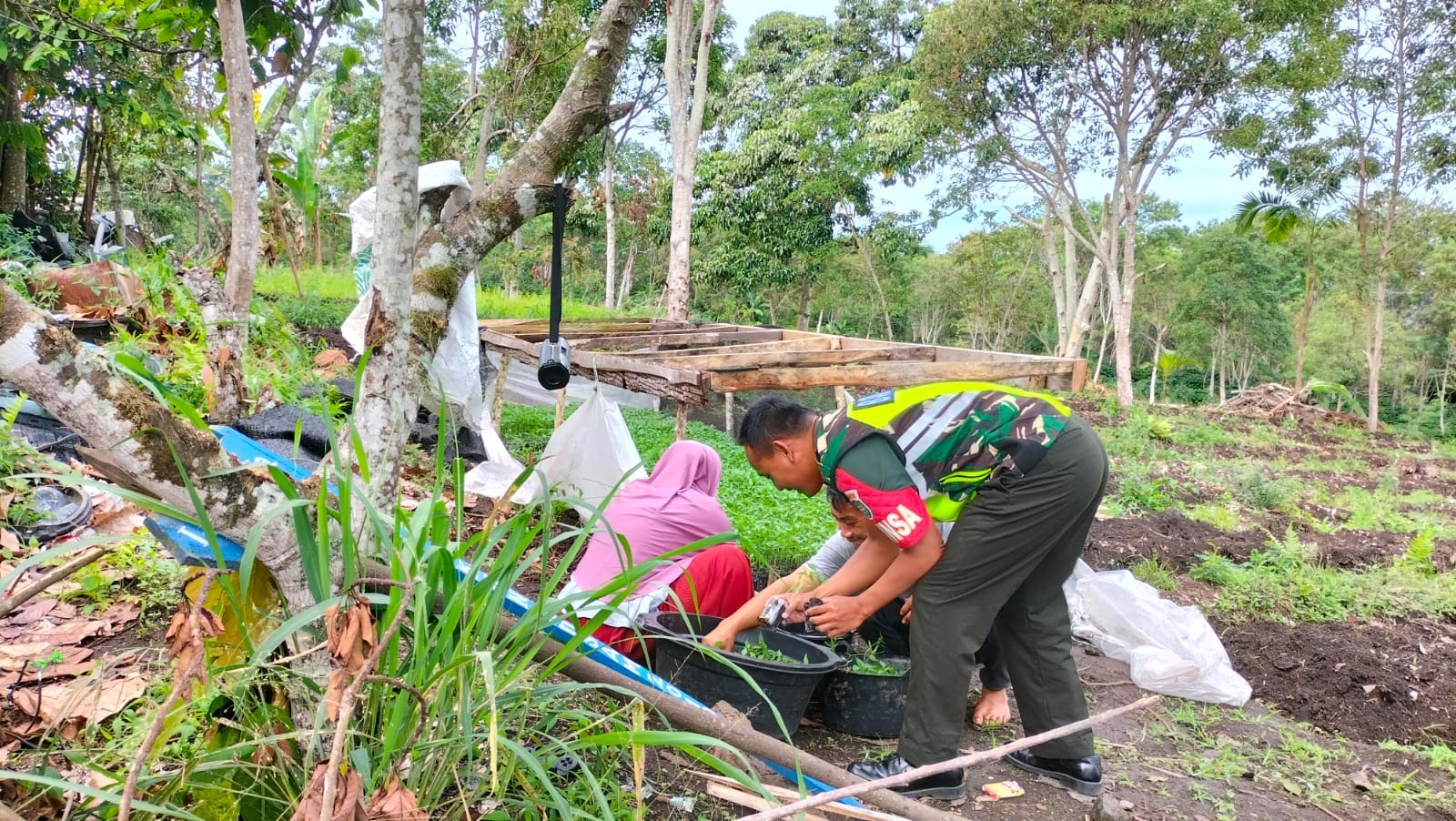 Dukung Ketahanan Pangan, Babinsa Koramil 03/TG Sambangi Petani Cabai Di Wilayah Binaan