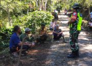 Tingkatkan Ketahanan Pangan Di Wilayah, Babinsa Hadir Di Tengah-tengah Petani Berdiskusi Secara Langsung Tingkatkan Ketahanan Pangan Di Wilayah, Babinsa Hadir Di Tengah-tengah Petani Berdiskusi Secara Langsung