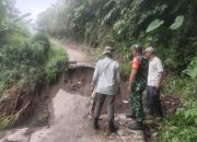 Akses Jalan Terputus, Babinsa Tinjau Jalan Alternatif yang Rusak Akses Jalan Terputus, Babinsa Tinjau Jalan Alternatif yang Rusak