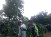 Perkokoh Ketahanan Pangan, Babinsa Koramil 06/Bukit Dengarkan Keluh Kesah Petani Perkokoh Ketahanan Pangan, Babinsa Koramil 06/Bukit Dengarkan Keluh Kesah Petani