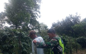 Perkokoh Ketahanan Pangan, Babinsa Koramil 06/Bukit Dengarkan Keluh Kesah Petani Perkokoh Ketahanan Pangan, Babinsa Koramil 06/Bukit Dengarkan Keluh Kesah Petani