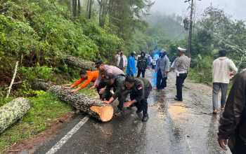 Respon Cepat Polres Aceh Tengah, Arus Lalu Lintas Jalur Takengon–Bintang Kembali Normal Usai Pohon Tumbang Respon Cepat Polres Aceh Tengah, Arus Lalu Lintas Jalur Takengon–Bintang Kembali Normal Usai Pohon Tumbang