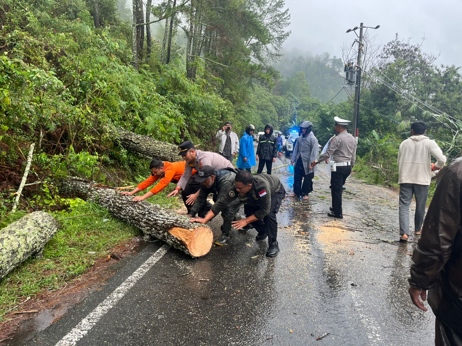 Respon Cepat Polres Aceh Tengah, Arus Lalu Lintas Jalur Takengon–Bintang Kembali Normal Usai Pohon Tumbang
