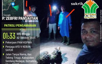 Dirut PTPN 4 Diminta Evaluasi Manajemen Gunung Pamela, Whistleblower Pencurian TBS Di-PHK