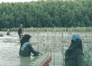 LindungiHutan Dorong Aksi Komunitas di Pantai Bahagia, Bekasi