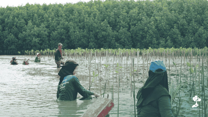 LindungiHutan Dorong Aksi Komunitas di Pantai Bahagia, Bekasi