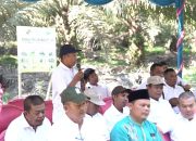 PalmCo, Subholding Holding Perkebunan Nusantara, Jadi “Pahlawan Baru” Ekonomi Rakyat PalmCo, Subholding Holding Perkebunan Nusantara, Jadi “Pahlawan Baru” Ekonomi Rakyat